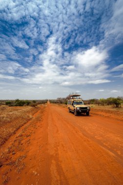 Afrika Masai Mara Kenya