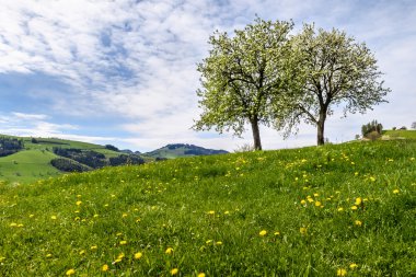 Avusturya'da nehir boyunca yürüyüş 