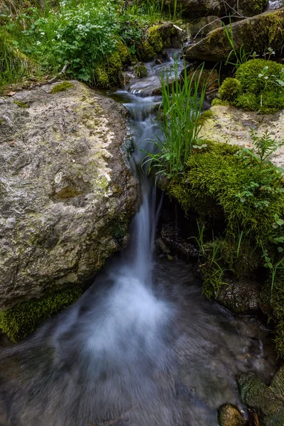 Avusturya'da nehir boyunca yürüyüş 