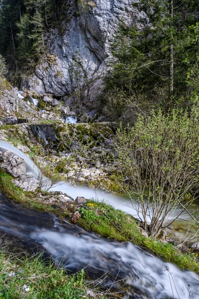 Water walking on the river in Austria — Stock Photo, Image