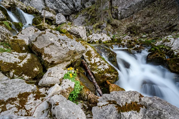 オーストリアの川の上を歩く水 — ストック写真