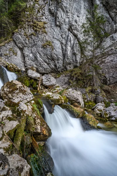 Water walking on the river in Austria — Stock Photo, Image