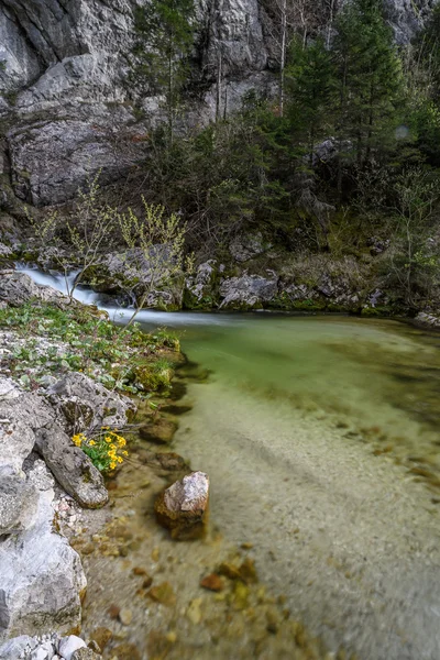 Senderismo en la naturaleza Mostviertel Austria — Foto de Stock