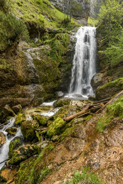 Hiking in the nature Mostviertel Austria — Stock Photo, Image