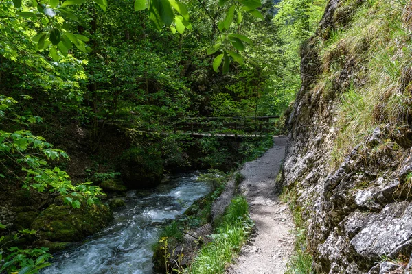 自然, 59 分オーストリアでハイキング — ストック写真
