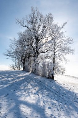 Mostviertel Avusturya 'da yürüyüş