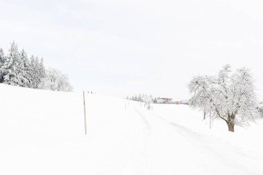Mostviertel Avusturya 'da yürüyüş
