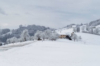 Mostviertel Avusturya 'da yürüyüş