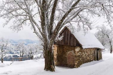 Mostviertel Avusturya 'da yürüyüş