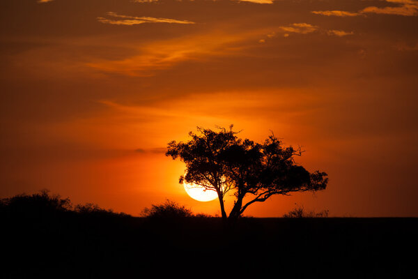 Sunset sky in the savannah of africa
