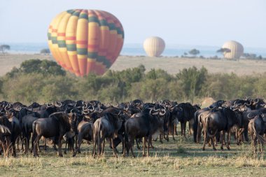 GNU geçiş