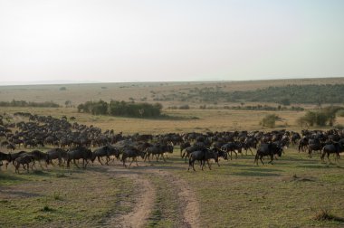 GNU geçiş