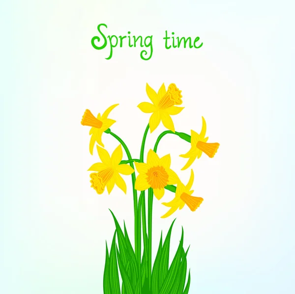 Spring card background with daffodil Vector Graphics