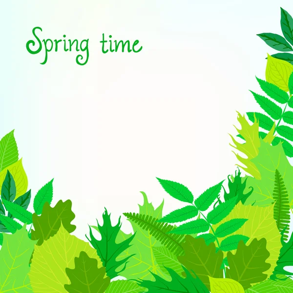 Fondo de tarjeta de primavera con hojas verdes — Vector de stock