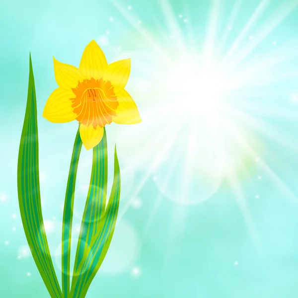 Spring card background with daffodil and sun Royalty Free Stock Illustrations