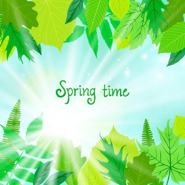 Voorjaar kaart achtergrond met groene bladeren — Stockvector