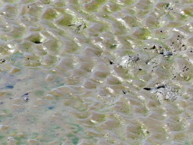 Su birikintisi ve çamur doku, arka plan