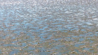 Su birikintisi ve çamur doku, arka plan