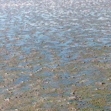 Su birikintisi ve çamur doku, arka plan