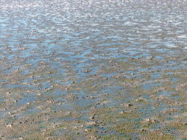 Su birikintisi ve çamur doku, arka plan
