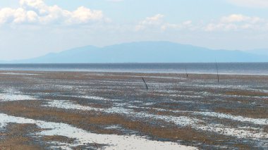 güneşli bir gün içinde deniz manzarası