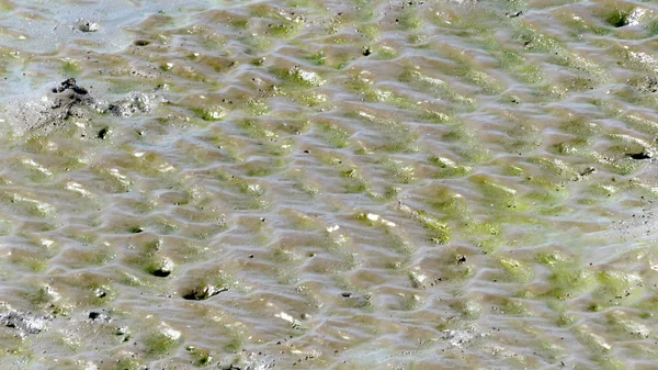 Puddle y textura de barro, fondo abstracto — Foto de Stock