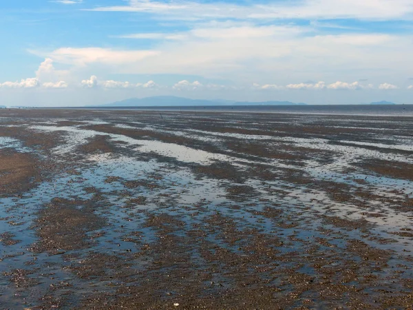 Seascape w słoneczny dzień — Zdjęcie stockowe