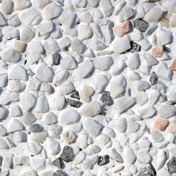 Verschillende pebble stenen textuur — Stockfoto