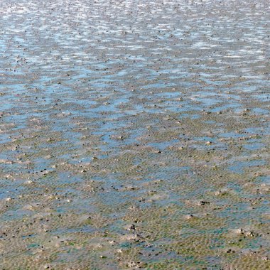 Su birikintisi ve çamur doku, arka plan