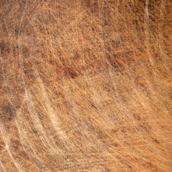 Фон деревини крупним планом — стокове фото