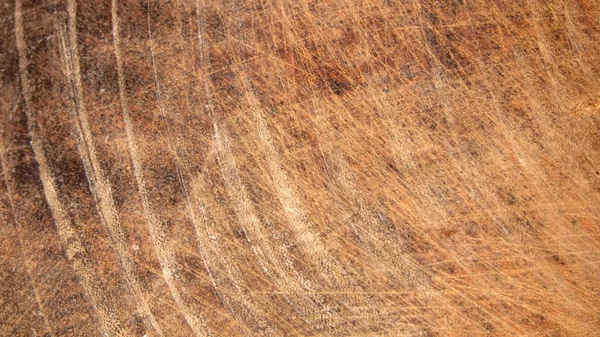 Hintergrund Holz Nahaufnahme — Stockfoto