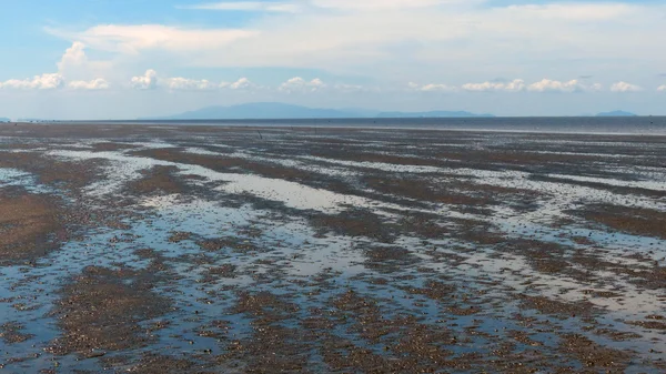 Seascape w słoneczny dzień — Zdjęcie stockowe