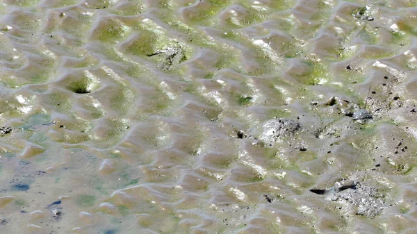 Puddle and mud texture, abstract background — Stock Photo, Image