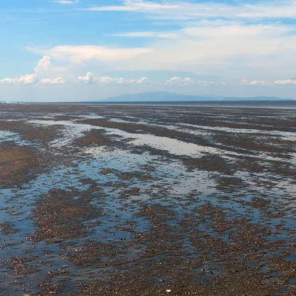 Seascape w słoneczny dzień — Zdjęcie stockowe