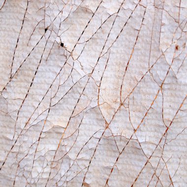 kirli plastik çatlamak