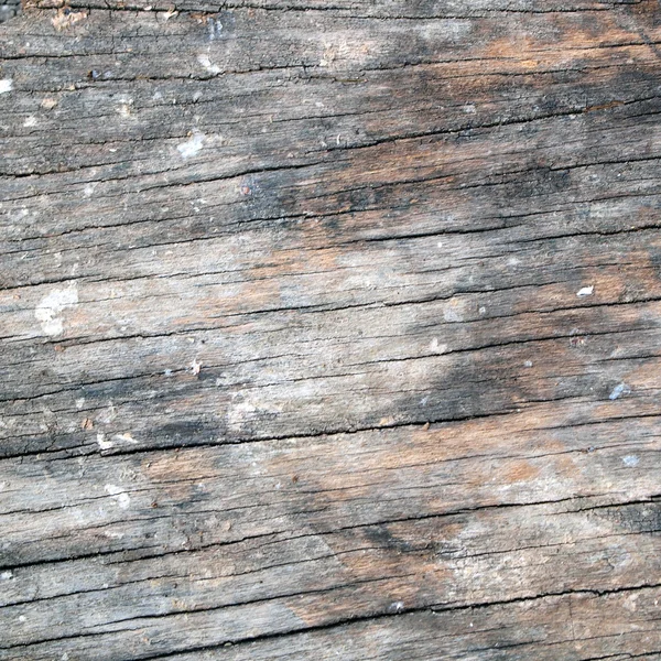 Texture wood close up — Stock Photo, Image