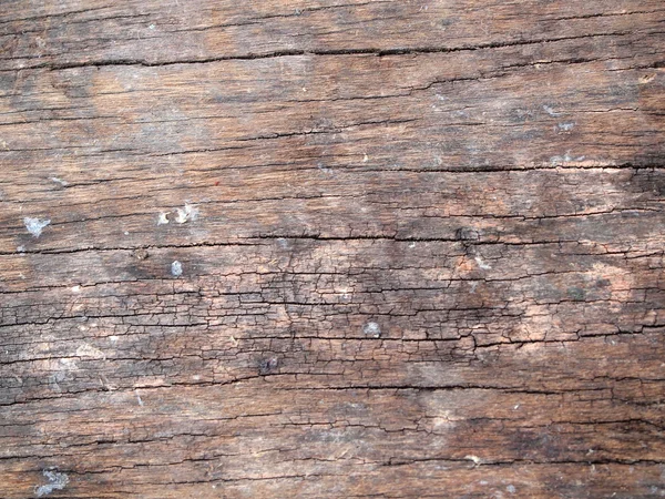 Textura madeira close up — Fotografia de Stock
