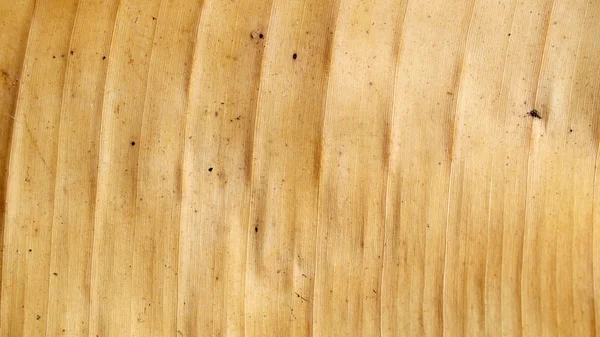Візерунок сухого бананового листа — стокове фото