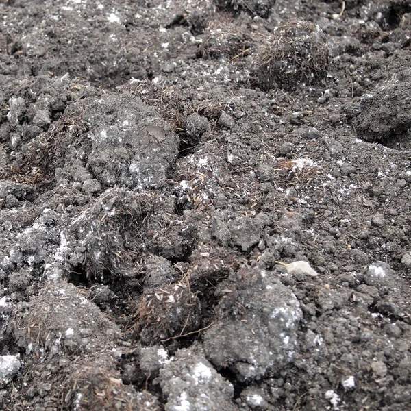 Friss talaj háttér Vértes — Stock Fotó