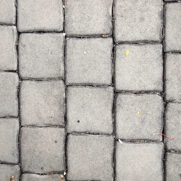 Pavement Background of grey cobble stones — Stock Photo, Image