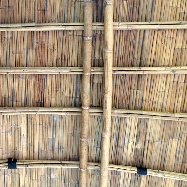 Bamboo roof close up — Stock Photo, Image