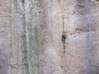 Grunge çimento duvar