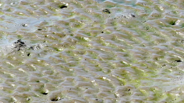 Pfütze und Schlamm, abstrakter Hintergrund — Stockfoto