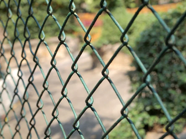 Chain Fence close up