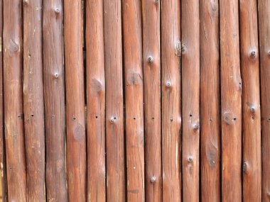 çam ahşap arka plan doku