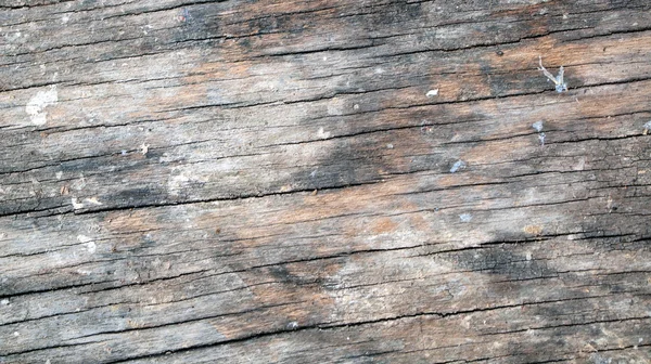 Ξύλο υφή σε κοντινό πλάνο — Φωτογραφία Αρχείου