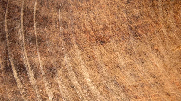 Hintergrund Holz Nahaufnahme — Stockfoto