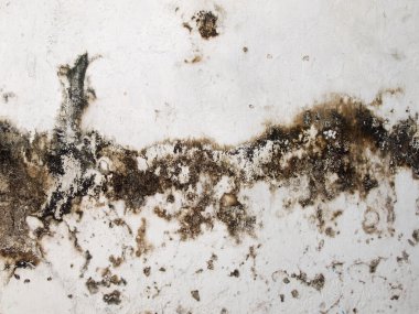 Grunge çimento duvar