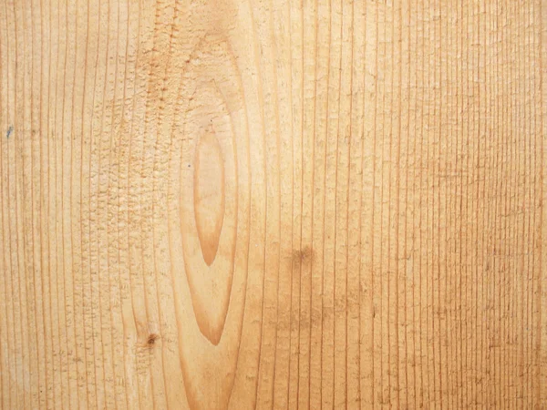 Текстура дерева близко — стоковое фото
