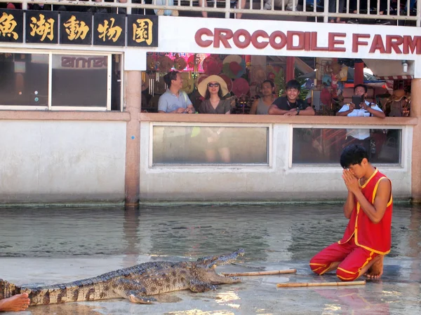 Samutprakarn, Tailândia - 18 de abril de 2015: show de crocodilo na fazenda de crocodilos. Este show emocionante é muito famoso entre os turistas e tailandeses. — Fotografia de Stock